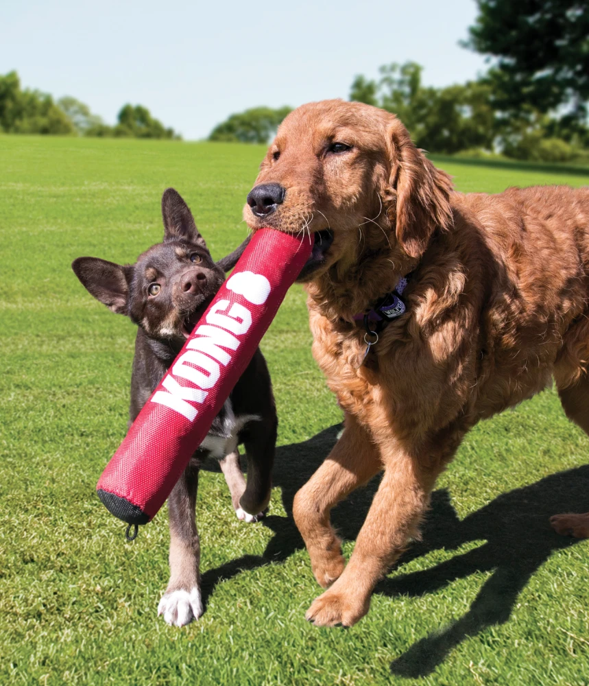 Dog Toys Active