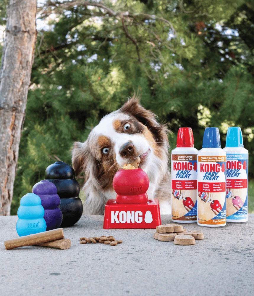 Collections Dog Essentials