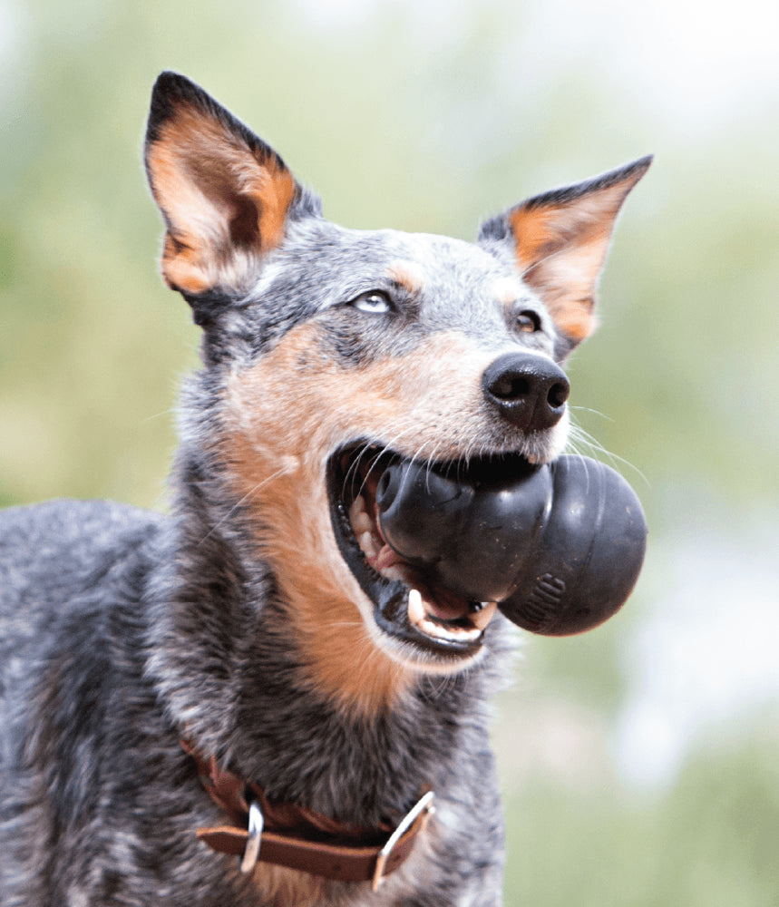 Dog Toys Extreme Chewers